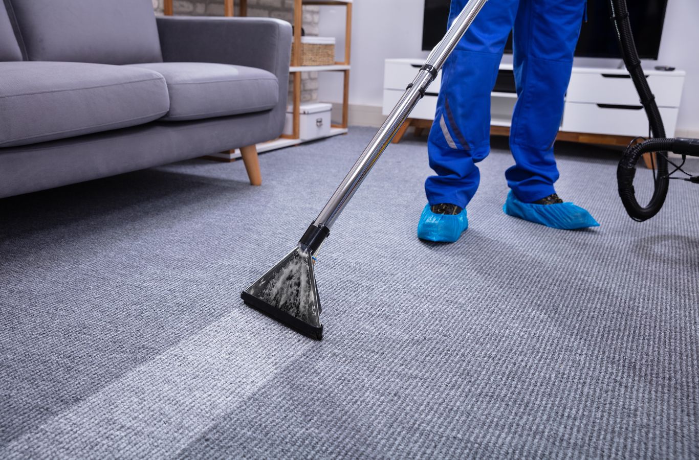 5 of the best carpet cleaning services in Paderborn – thoroughly removing dirt from valuable carpets